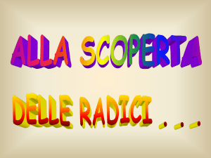 Presentazione di PowerPoint