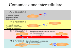 15.controllo ormonale del metabolismo