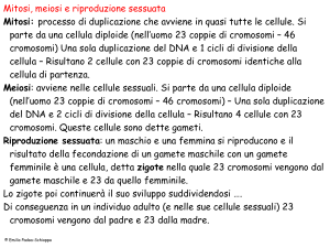Riassunto mitosi meiosi riproduzione