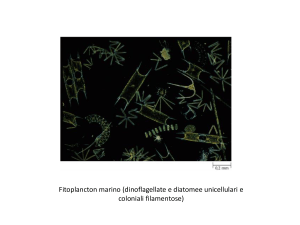 Diapositiva 1 - SCIENZE BIOLOGICHE