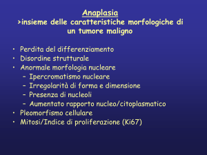 Classificazione dei tumori
