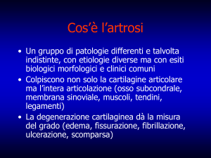 Cos`è l`artrosi