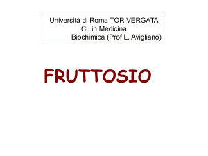 fruttosio