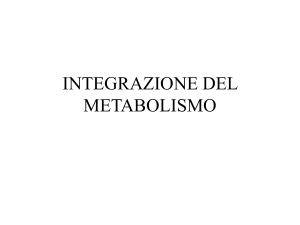 INTEGRAZIONE DEL METABOLISMO