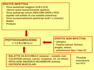 EPATITI - Corso di laurea in tecniche della prevenzione nell