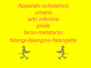 xpiedeossa