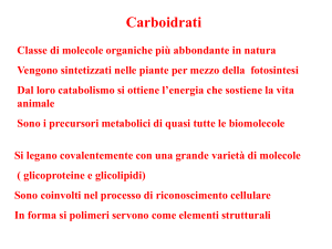 Nessun titolo diapositiva