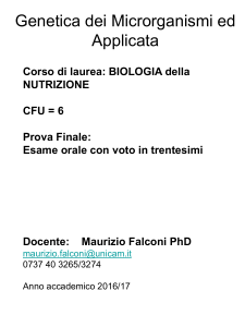 Testi di supporto
