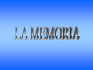 La memoria - Liceo Malpighi