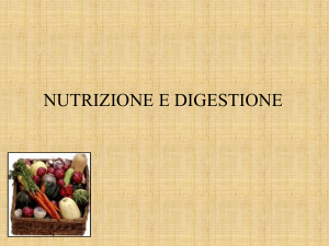 Presentazione di PowerPoint - Istituto San Giuseppe Lugo