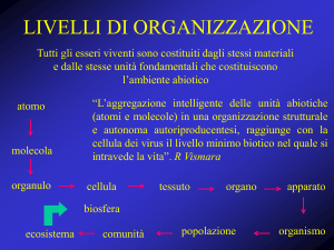 livelli di organizzazione