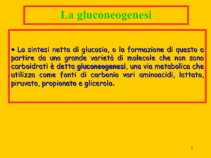 Presentazione di PowerPoint
