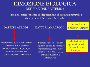 RIMOZIONE BIOLOGICA DEPURAZIONE BATTERICA