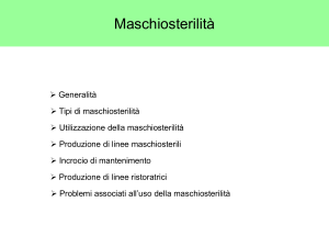 Nessun titolo diapositiva