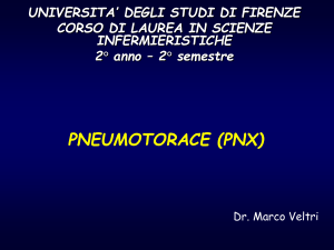Presentazione di PowerPoint