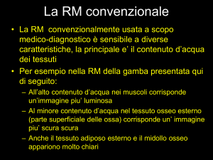 Mappatura della corteccia visiva
