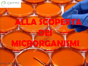 i microrganismi detti comunemente germi
