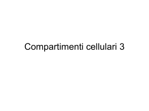 RERREL_3