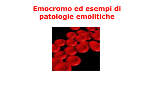Presentazione di PowerPoint