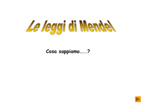 Cosa sappiamo…..?
