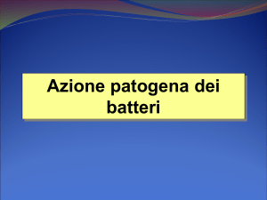 Presentazione di PowerPoint - e