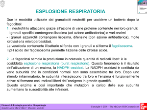 Diapositiva 1