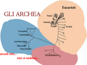 gli archea - Liceo Daniele Crespi