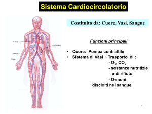 Apparato cardiocircolatorio File
