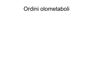 Ordini olometaboli