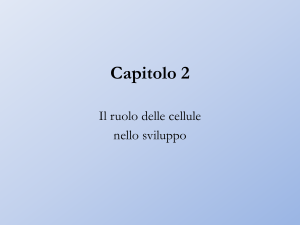 3 2015 2016 BS Il ruolo delle cellule nello sviluppo