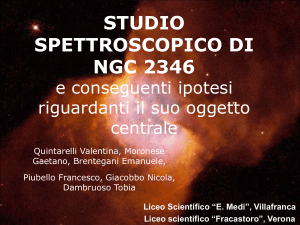 Presentazione_13