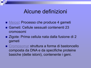 Cromosoma - IHMC Public Cmaps