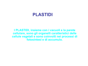 lezione 8 Archivo - e