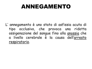 ANNEGAMENTO e SHOCK