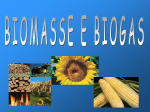 14. Biomasse e biogas