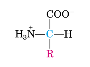 aa. Proteinex