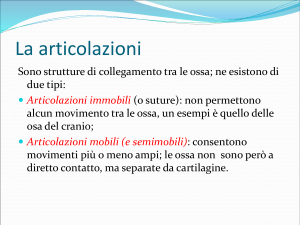Apparato locomotore_seconda parte