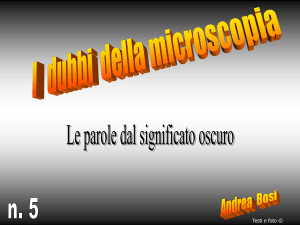 Dispensa #5