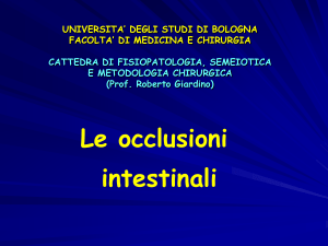Le occlusioni intestinali UNIVERSITA` DEGLI STUDI DI BOLOGNA