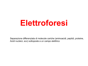 Elettroforesi