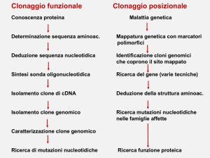Lezione 4