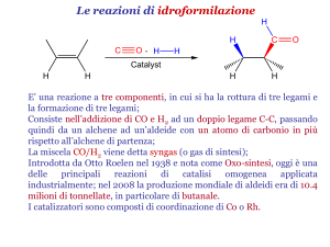 IDROFORMILAZIONE File