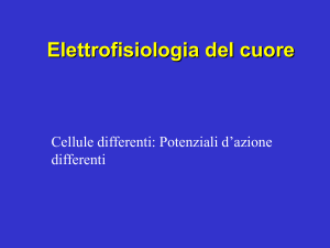 Il Cuore-Elettrofisiologia