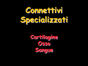 012a_Cartilagine