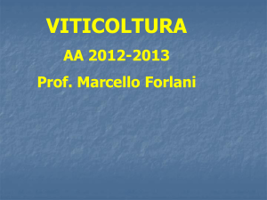 Diapositiva 1 - Docenti.unina