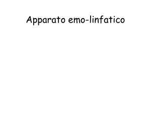 EmoLinfatico_II