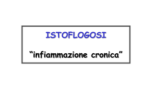 Presentazione di PowerPoint
