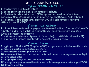 Risultati test MTT