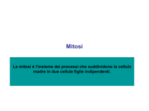 Mitosi - SburOver