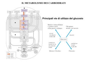 Presentazione di PowerPoint - Progetto e